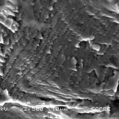 Fractography showing propagation by fatigue. Striation.
