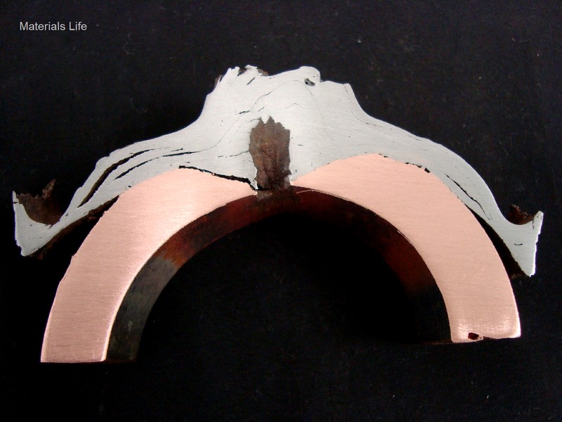 Transverse section of the tube in a position of wall perforation.