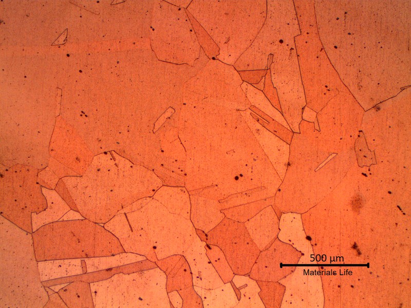 Micrographic aspect of the tube wall under the localized thinning, in a transverse section, showing a coarse structure due to high temperature grain growth.