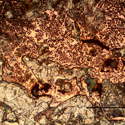 Micrographic detail of the melted materials. Grey islands of steel and the dendritic structure of the orange copper and dark dots (probably due to oxygen contamination).