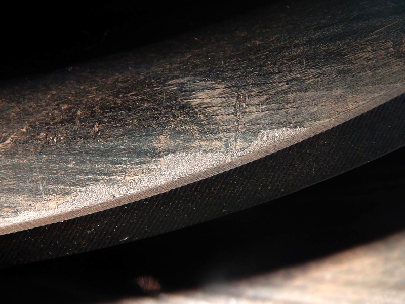 Detail of a sound teeth, showing marks of plastic deformation across the tooth surface.