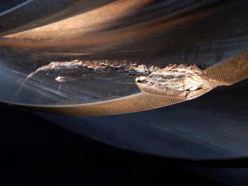 Macroscopic detail of the fractured tooth, showing several longitudinal cracks in the contact surfaces, suggesting the occurrence of spalling damage.