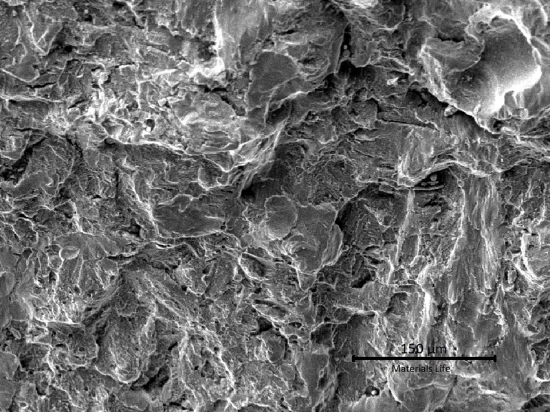 Microscopic aspect of the fracture, propagating by contact fatigue.