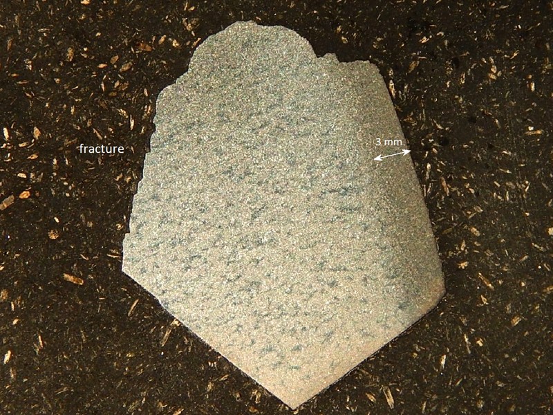 Macrography of a transverse section of the fractured tooth.  The tooth was cracked and the carburized layer was detached (left side of the image).
