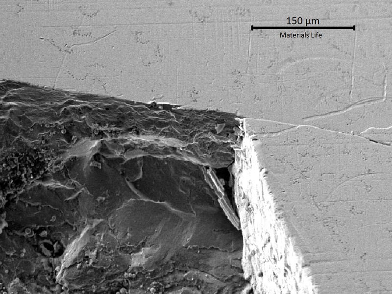 Microscopic aspect of the cracks at the tooth surface. The cracks are flat and propagating longitudinally to the tooth (and secondary short transverse).