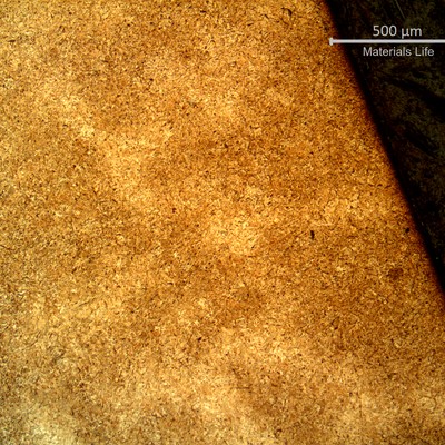 Micrography of the tooth gear, in a transverse section, close to surface. The material presents light ghost marks that reveal chemical segregations.