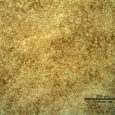 Micrography of the tooth gear, in a transverse section of center region. Again, some segregation patterns are visible.