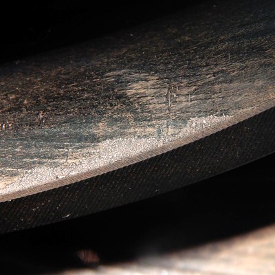 Detail of a sound teeth, showing marks of plastic deformation across the tooth surface.