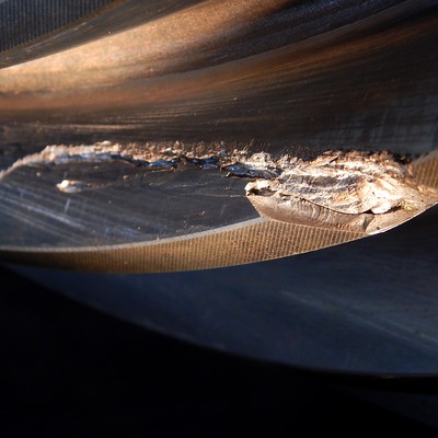 Macroscopic detail of the fractured tooth, showing several longitudinal cracks in the contact surfaces, suggesting the occurrence of spalling damage.