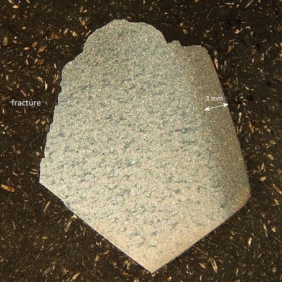 Macrography of a transverse section of the fractured tooth.  The tooth was cracked and the carburized layer was detached (left side of the image).
