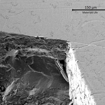 Microscopic aspect of the cracks at the tooth surface. The cracks are flat and propagating longitudinally to the tooth (and secondary short transverse).