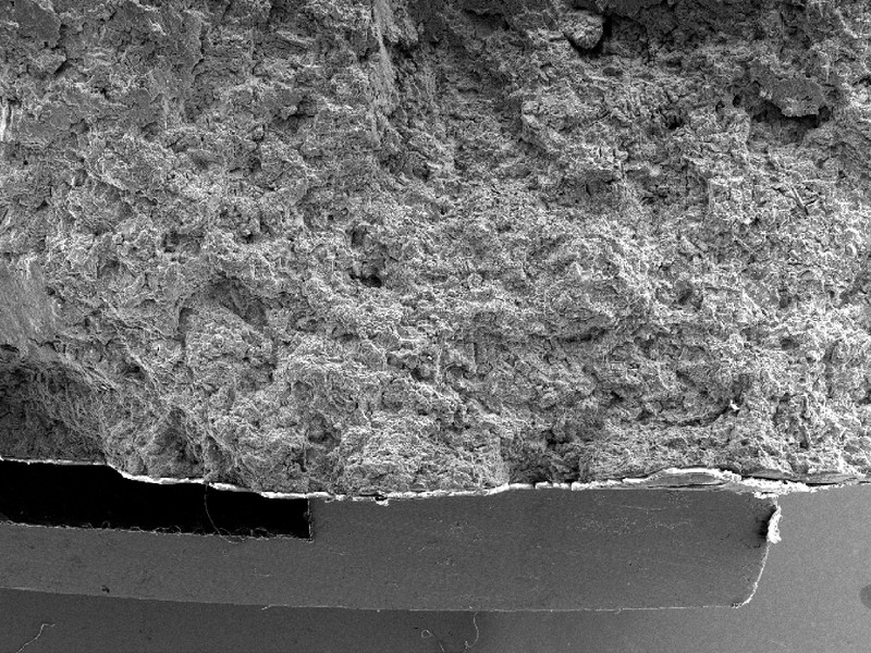 Low magnification view of the WHEEL 1 fracture surface. The thickness of the wheel in this position (flat and paralell to the wheel face) is about 2.5 mm.  The aspect of the fracture is similar all through the fracture perimeter, including the region where the fracture propagation changes the direction.