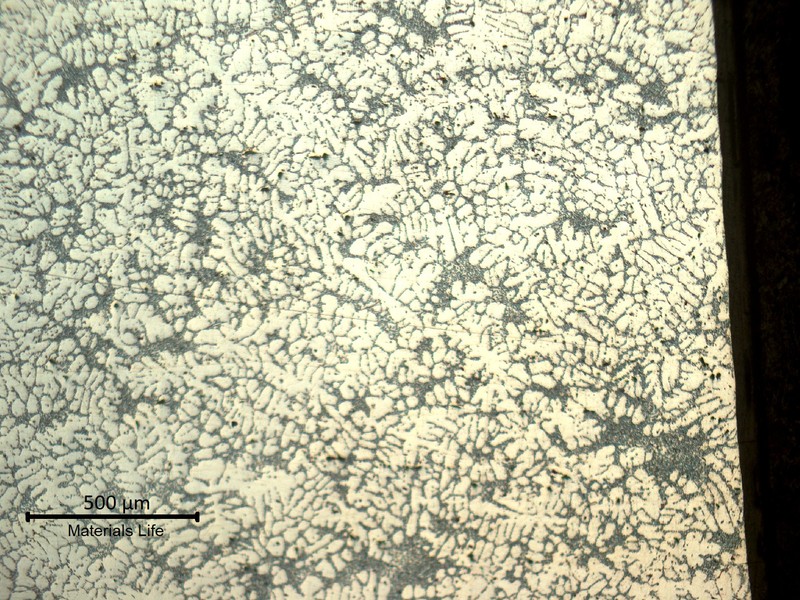 The wheel microstructure changed a little depending the thickness.  In the region of WHEEL 1 fracture and WHEEL 2 cracking, it presented an alpha matrix with a networklike precipitates  interdendritic.