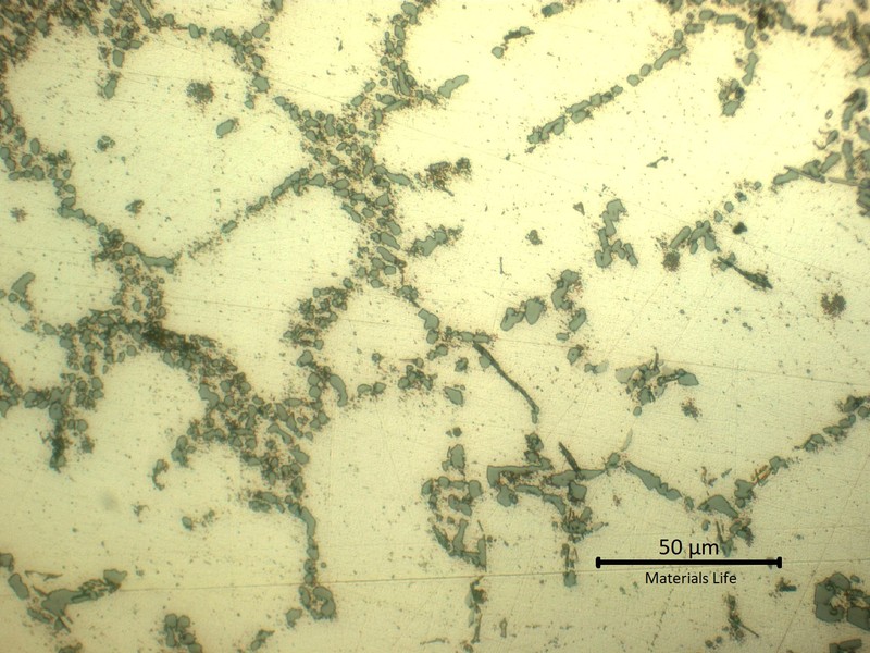 Detail of the alpha matrix with an eutectic networklike precipitates, interdendritic. Presence of acicular iron rich phases (dark gray).