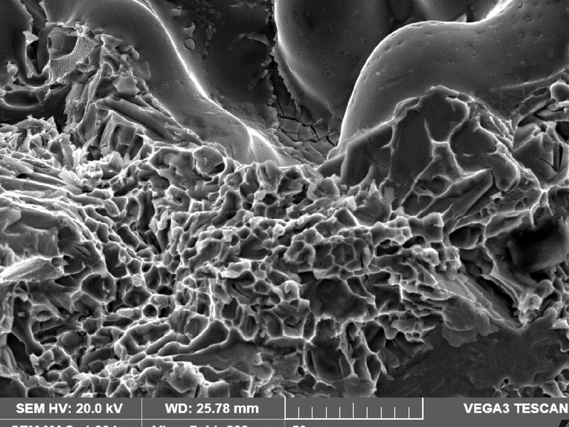 In the broken specimen fracture surface there are also regions of small cracks, that appear secondary, but that did not propagate. The predominantly mechanism is dimples.