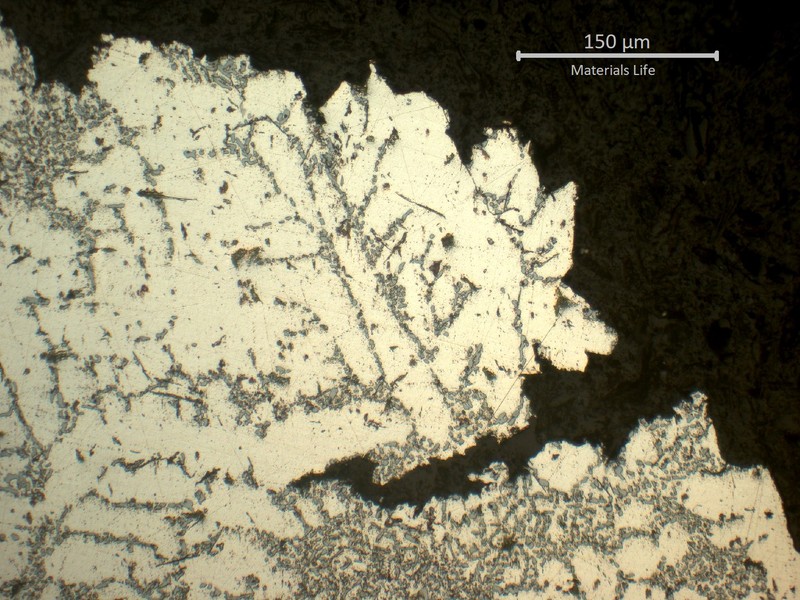 Dendritic branching structure of the aluminum matrix, with fine interdendritic features visible against a darker surrounding phase.