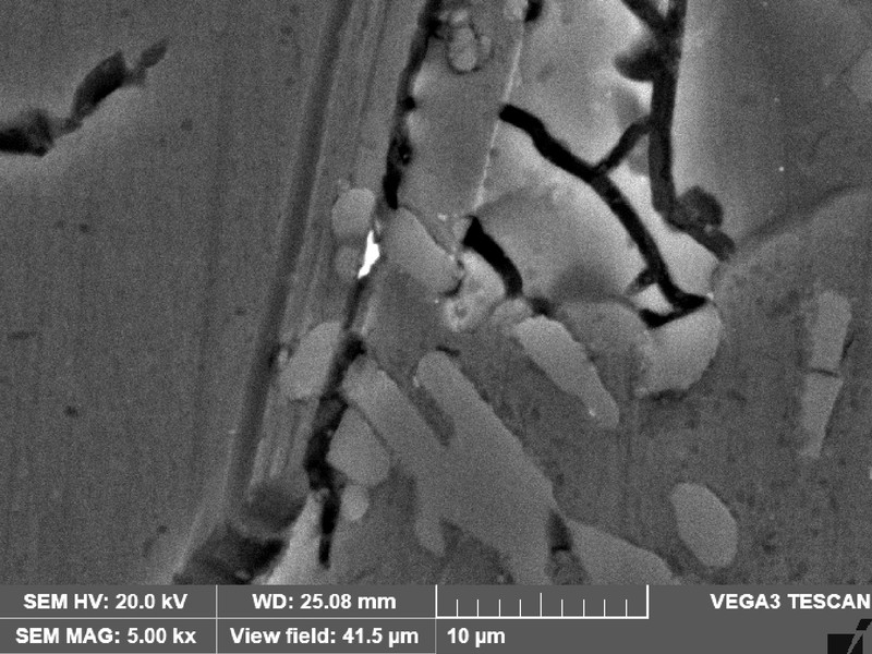 Detail of the brittle iron rich particles with several microcracks, that did not propagate during the impact that lead to the fracture.