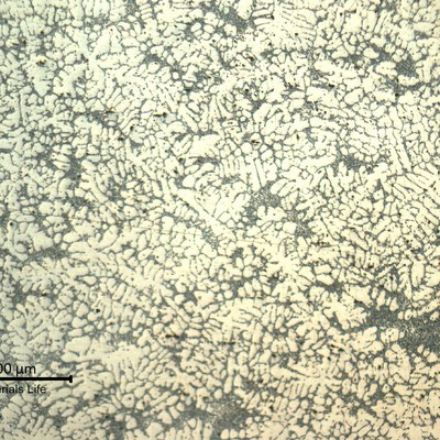The wheel microstructure changed a little depending the thickness. In the region of WHEEL 1 fracture and WHEEL 2 cracking, it presented an alpha matrix with a networklike precipitates interdendritic.