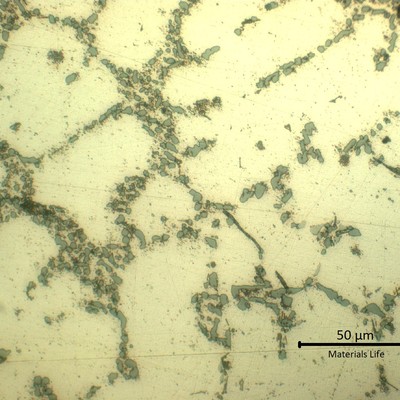 Detail of the alpha matrix with an eutectic networklike precipitates, interdendritic. Presence of acicular iron rich phases (dark gray).