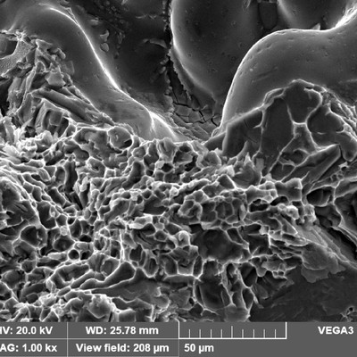 In the broken specimen fracture surface there are also regions of small cracks, that appear secondary, but that did not propagate.  The predominantly mechanism is dimples.