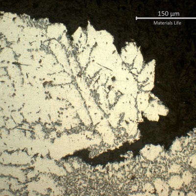 Dendritic branching structure of the aluminum matrix, with fine interdendritic features visible against a darker surrounding phase.