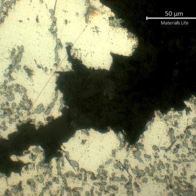 Micrographic detail of the secondary crack from the fracture surface of the WHEEL 1, following the interdendritic precipitates.