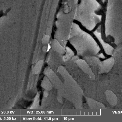Detail of the brittle iron rich particles with several microcracks, that did not propagate during the impact that lead to the fracture.